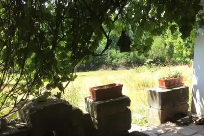 Image de Vacances En Foret Sejour \"Deconnexion\"