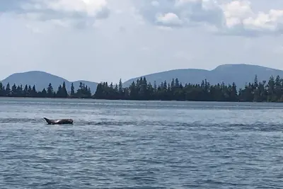 Image de Bayside retraite paisible près de l'Acadie