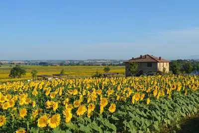 Image de Ferme du 19ème siècle en pierre avec jardin et piscine privée \/ 8 couchages \/ animaux de compagnie