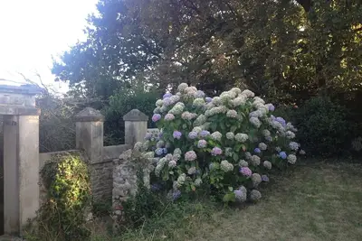 Image de Charmante maison ancienne au calme avec jardin - Village et mer à pied