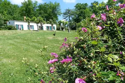 Image de Nature, vin et culture. . . .