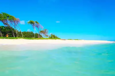 Image de MEUBLÉ Touristique (T2) Au Calme, PRÈS Des Plus Belles Plage De L'Ile