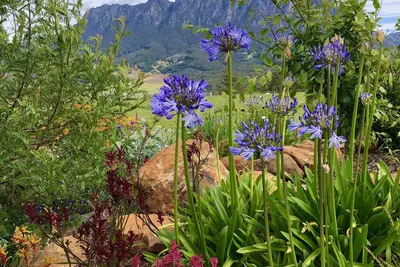 Image de Manna Hill Farm