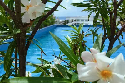 Image de Ocean View Pool, Luxe moderne, Beach-1 Block, 5ème Avenue-1 Block. Emplacement! ! !