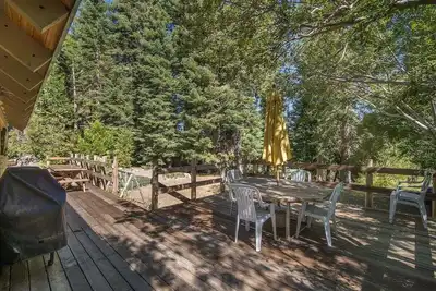 Image de Cadre de forêt calme avec beaucoup d'espace pour construire givré! Homewood à quelques minutes
