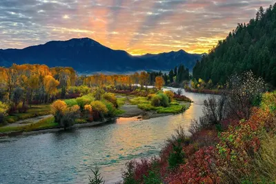 Image de Kabino: Snake River Roadhouse! # 4 Big Brown! Emplacement Emplacement Emplacement! Wifi gratuit. . .