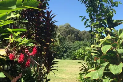 Image de chalet tranquille dans un cadre agricole paisible Kohala