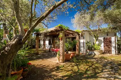 Image de Maison sous les oliviers