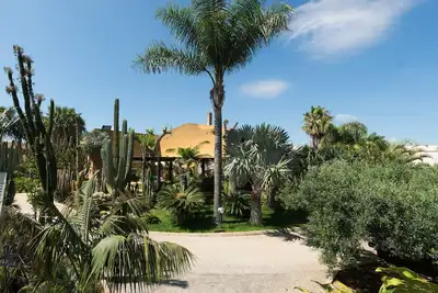 Image de Oasis succulente