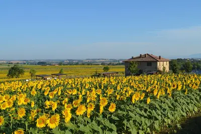 Image de Ferme en pierre du 19ème siècle avec piscine privée à Valdichiana