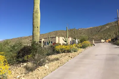Image de Rare find situé sur le 11ème vert de l'Arizona National Golf Club.