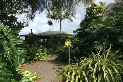 Image de Paradis: Ocean View Cottage Solar Power Tropical Flower Farm