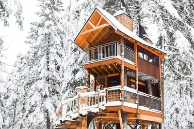 Image de Luxury Montana Treehouse Retreat