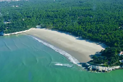 Image de Villa tout confort Direct Plage, pour les amoureux de la nature. . .