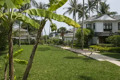 Image de Lotus Samui
