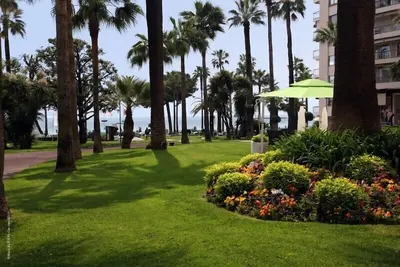Image de Centrale dans le coeur de Cannes - «Carré d'Or» (Golden Square) Lieu est un petit bijou!