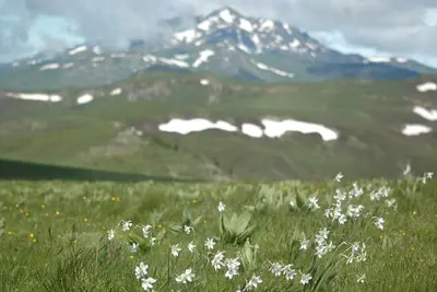 Image de maison de montagne Pyrénées Audoises