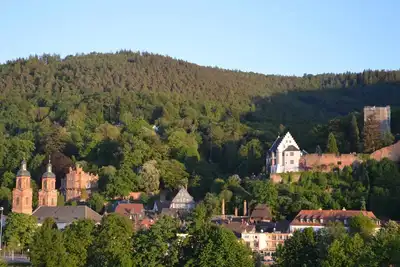 Image de Vue panoramique Miltenberg, 3 pers. , Centre, sur la Main, terrasse, location de bateaux, P