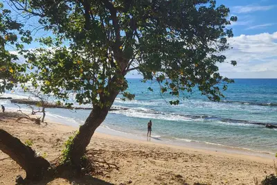 Image de Hale Kai # 103 - votre maison par la mer Ă West Maui