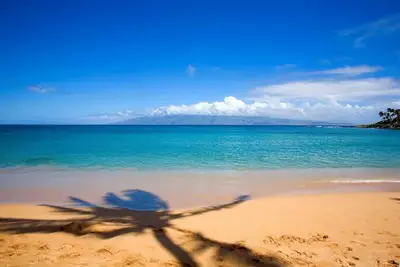 Image de Élégance totale et haut de gamme! À quelques pas de la meilleure plage