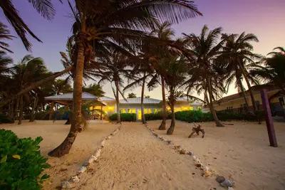 Image de Plage de noix de coco: Oasis de jardin secret avec plage ombragée de palmiers et plongée en apnée spectaculaire