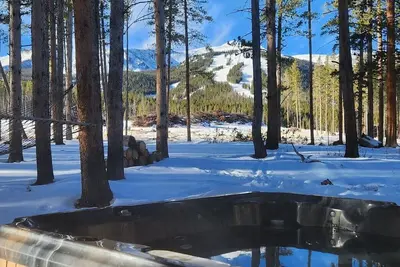 Lazy Fox Lodge in National Forest