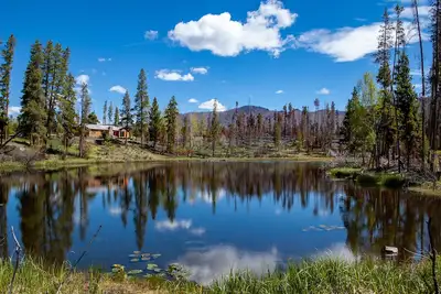 Image de Moose Pond - Repérez l'orignal tout en vous relaxant sur le pont de cette magnifique cabane!