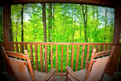 Toujours mauvais comportement \\ animaux acceptés \\ bain à remous \\ wifi \\ cheminée \\ jacuzzi