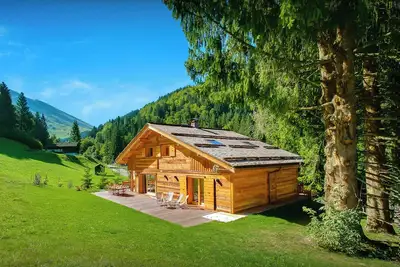 Image de Lodge Le Grizzly - séjour skis aux pieds pour 14 spa & vue