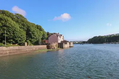 Image de Chardonneret, Milford Haven