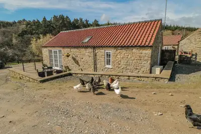 Image de Le paradis d'Erica, Kirkbymoorside