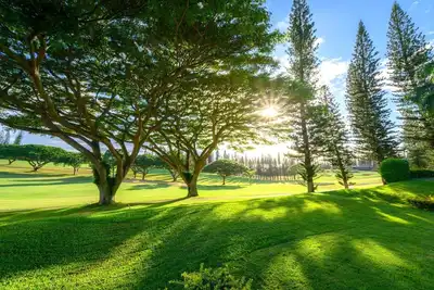 Image de Kbm Resorts | Free Car | Kapalua Golf Villa | Golf Course view | 2-Bedroom Condo! Kgv-14p6