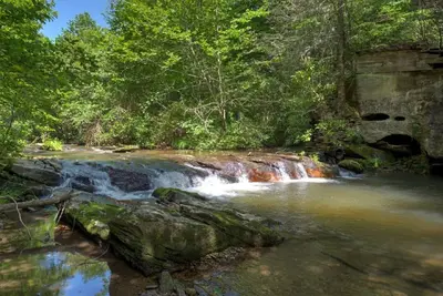 Image de Black Bear Cabin - Une cabine confortable avec un bain Ă remous! Comprend Biltmore!