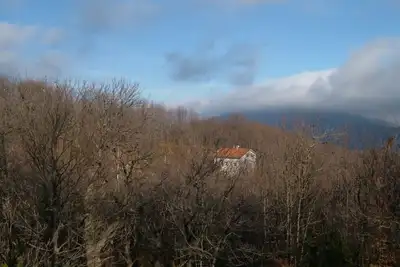 Image de Maison dans les bois Osiglia, Ligurie
