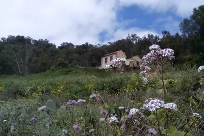 Image de Casa Rural Las Caldereras