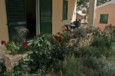 Image de Appartement d'une chambre prés de la plage Rogoznica (A-3094-a)