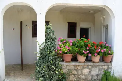 Image de Appartement d'une chambre avec la terrasse Jezera, Murter (A-5120-g)