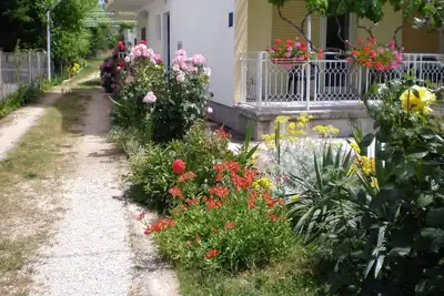 Image de Appartement d'une chambre avec la terrasse Sukosan, Zadar (A-5802-c)
