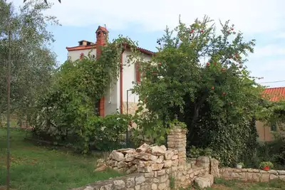 Image de Appartement d'une chambre avec la terrasse et la vue sur le mer Ugljan (A-8527-a)