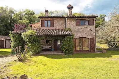 Image de Les cheminées de maison entourée d'oliviers