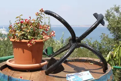 Image de Appartement de deux chambres avec la terrasse et la vue sur le mer Kali, Ugljan (A-834-a)