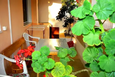 Image de Appartement d'une chambre avec la terrasse Supetar, Brac (A-7631-b)