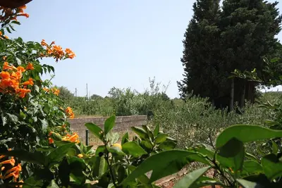 Image de Garçonnière avec la terrasse Susica, Ugljan (As-8265-a)