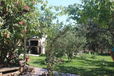 Image de Garçonnière avec la terrasse et la vue sur le mer Orebic, Peljesac (As-648-d)