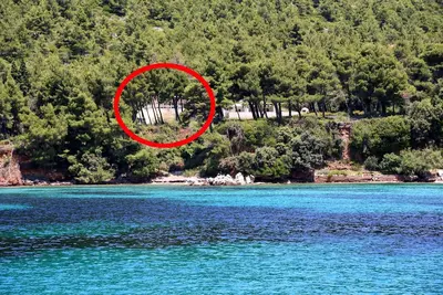 Image de Appartement d'une chambre avec air conditionné Zuljana, Peljesac (A-10233-a)