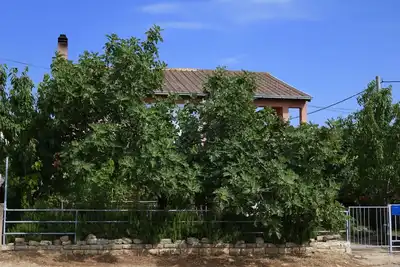 Image de Appartement d'une chambre avec la terrasse Gornji Karin, Novigrad (A-11806-a)