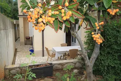 Image de Appartement d'une chambre avec la terrasse Nerezine, Losinj (A-2518-c)