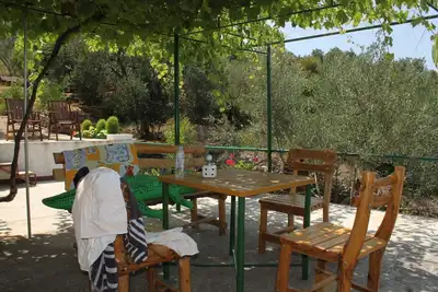 Appartement d'une chambre avec la terrasse et la vue sur le mer Kali, Ugljan (A-834-b)