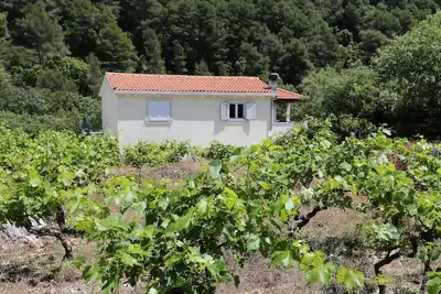 Image de Appartement de deux chambres avec la terrasse Trstenik, Peljesac (A-10109-a)