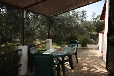 Image de Garçonnière avec la terrasse Maslinica, Solta (As-5184-a)